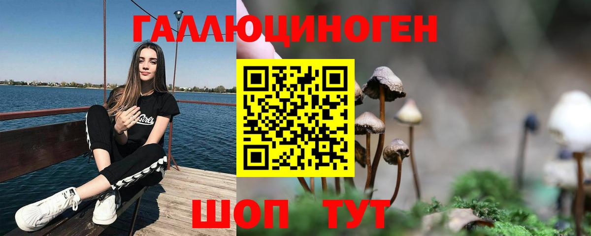Домодедово  Псилоцибиновые грибы Cubensis  Вход с VPN 